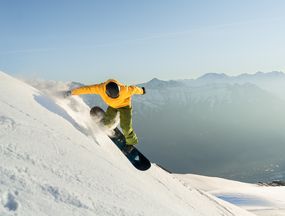 Seasonal / Annual Pass